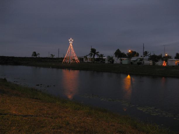 Picture of the Christmas Tree